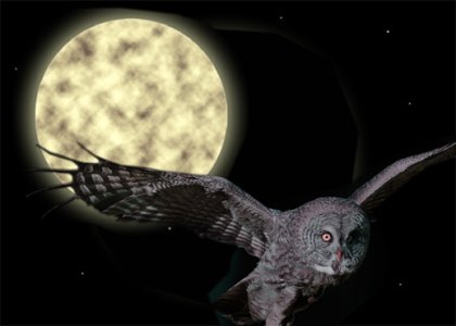 Full-Moon  owl.jpg