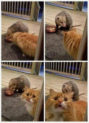 E2D7F88B-09EA-483B-B0A6-43C2A3762EA5.jpeg