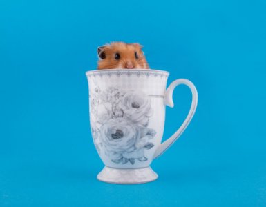 tea.jpg