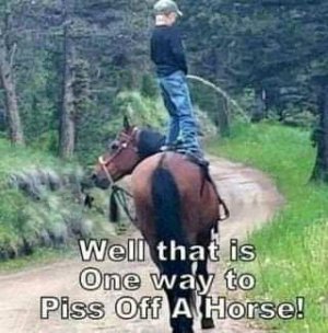 FB_IMG_16194680313606852.jpg