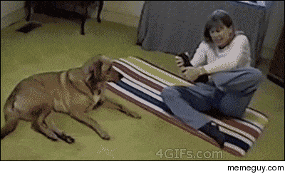 tumblr_d126dabcc85cf06573c05dd747ea5e5d_b50622a0_400.gif