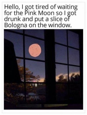 178709221_800527363912186_8448820681757881361_n[1].jpg
