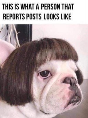 178618358_10161064410071038_3900805327975479721_n[1].jpg