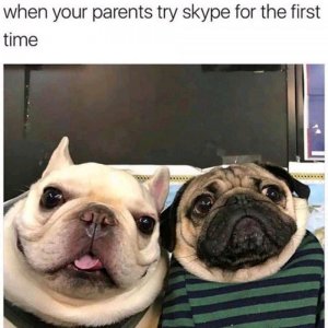 FB_IMG_16189778413016392.jpg