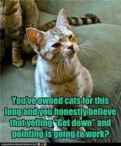 4893460688f4e23ce82a95b6b61517f4[1].jpg