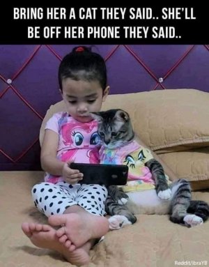 catphone.jpg