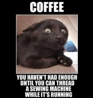 B68E8D6E-20A5-4C0F-A5A3-961D31D0AA9A.jpeg