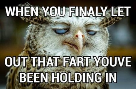 51a453b299b230c4969b85a8d6d8904c[1].jpg
