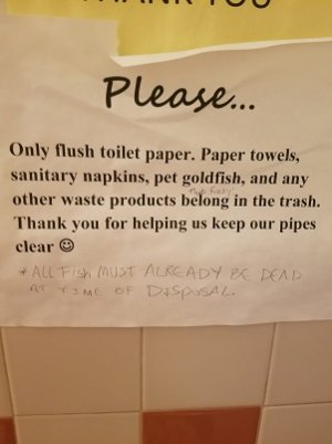 flush.jpg