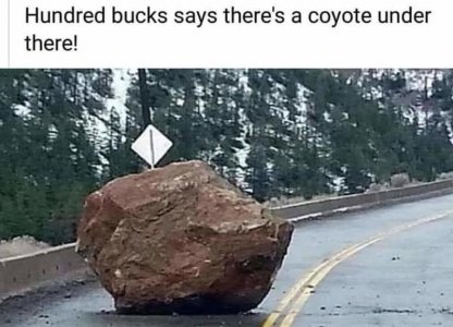 178513352_4299149273437973_6542574339497366176_n[1].jpg