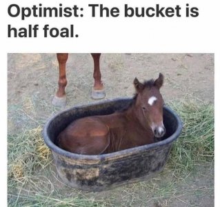 178979954_801587930472796_7989582993666699087_n[1].jpg