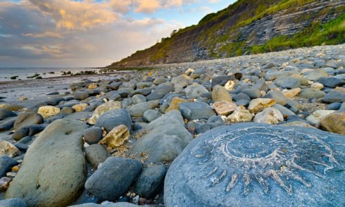 Lyme-Regis-009.jpg