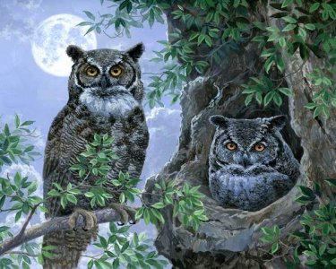 AB-0231---Night-Owls-40x50_grande.jpg