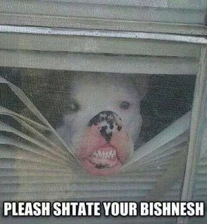 bishness.jpg