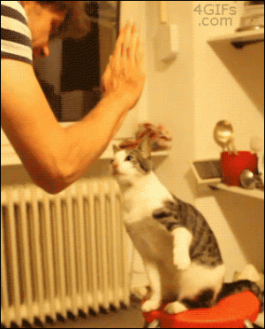 06596c4ec43b25e6dc0e384ba44d4493.gif 06596c4ec43b25e6dc0e384ba44d4493.gif