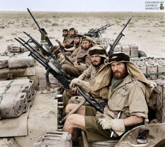 british sas.jpg
