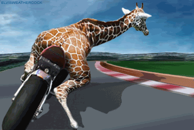 2bd16a14468fc361f0e9aa45ef03c8f4[1].gif