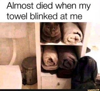 FB_IMG_16199005579284093.jpg