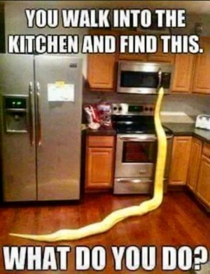 FB_IMG_16197559094667826.jpg
