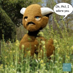 yak.jpg