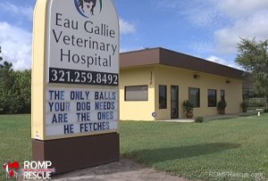 eau-gallie-veterinary-hospital-racy-signs-1-091913.jpg