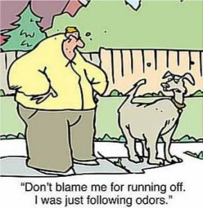 smell cartoon.jpg