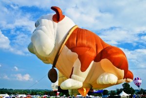 2012-08-11-Chruchill.jpg
