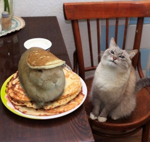 Hare in Pancakes.jpg