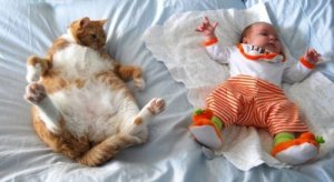 cat & baby.jpg