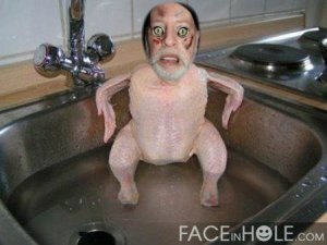 me-as-chicken.jpg