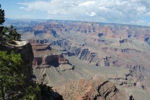 WEST2015 202.jpg