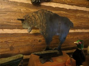 IMG_0398.jpg