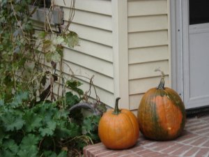 DSC00304.jpg