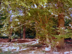 DSCF5792.jpg