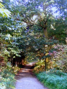 DSCF5829.jpg