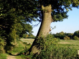 DSCF5790.jpg