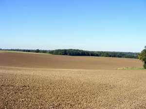 DSCF5738.jpg