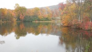 DR in Poconos.JPG