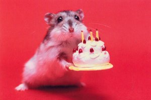 Funny-Happy-Birthday-17.jpg