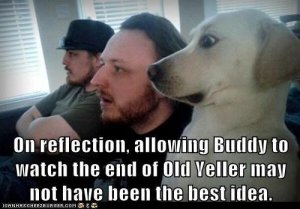 dog funnies old yeller.jpg