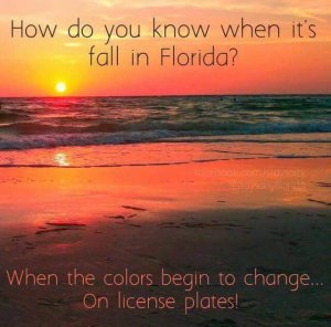 FallFl.jpg