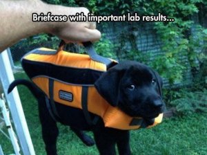 lab results bigger.jpg