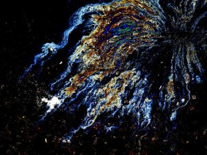 IMG_2570_550 (1).jpg