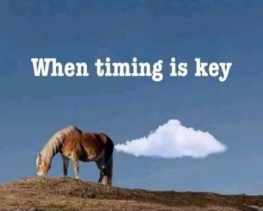 166123466_2349587958516018_950660215496535636_n[1].jpg