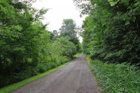 best_road.jpg
