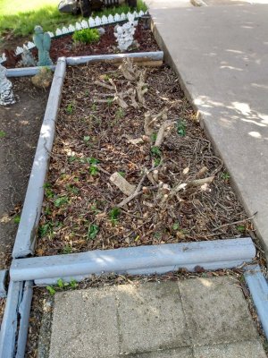 IMG_20210503_101034779_HDR.jpg IMG_20210503_101034779_HDR.jpg