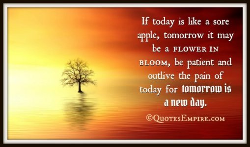If-today-is-like-a-sore-apple-tomorrow-it-may-be-a-flower-in-bloom-be-patient-and-outlive-the-...jpg