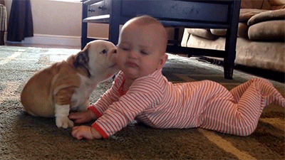 original (1).gif