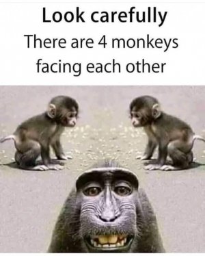 180510271_128217992670120_8951870974369082848_n.jpg