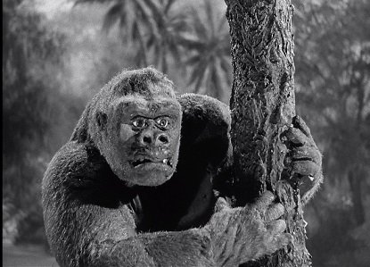 mighty joe young.jpg